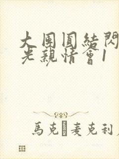 大团圆结闪闪发光亲情会1