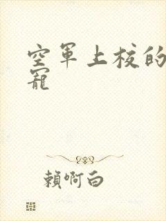 空军上校的邪魅宠
