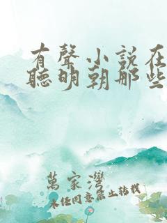 有声小说在线收听明朝那些事