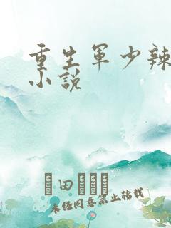 重生军少辣娇妻小说