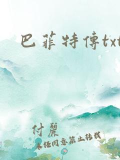 巴菲特传txt