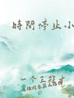 时间停止小说