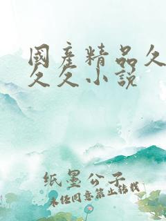 国产精品久久久久久小说
