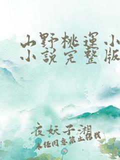 山野桃运小傻医小说完整版