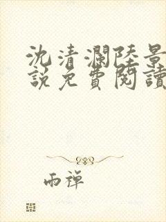 沈清澜陆景沉小说免费阅读最新章节更新