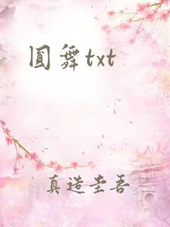 圆舞txt