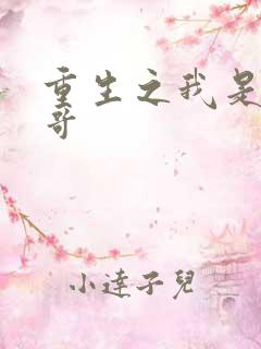 重生之我是大帅哥