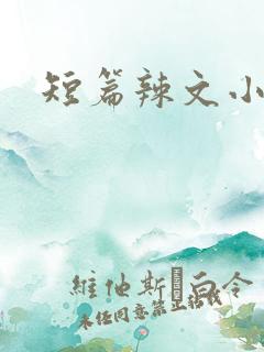 短篇辣文小说