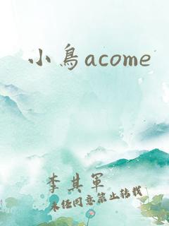 小鸟acome