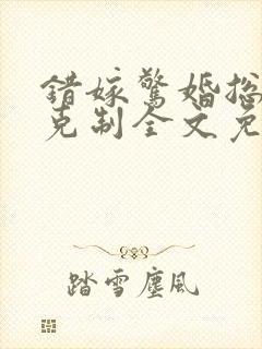 错嫁惊婚总裁请克制全文免费阅读