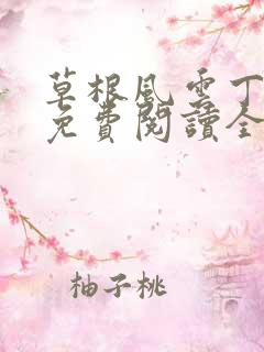 草根风云丁长生免费阅读全本