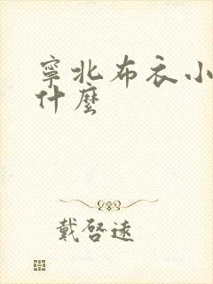 宁北布衣小说叫什么