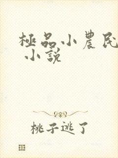 极品小农民周青 小说