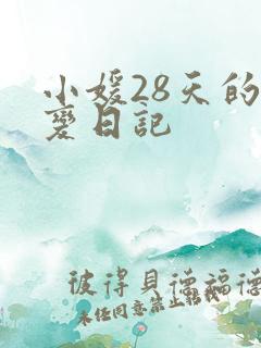 小媛28天的剧变日记