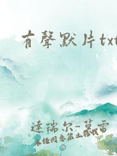 有声默片txt