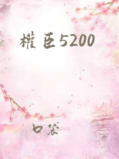 权臣5200