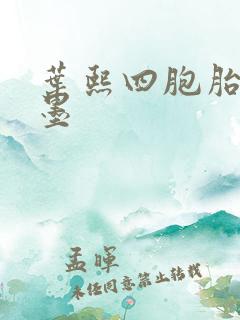 叶熙四胞胎厉子墨