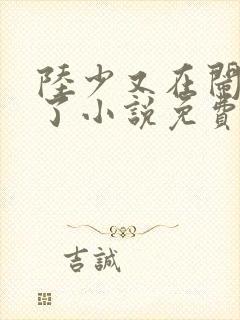 陆少又在闹复婚了小说免费阅读