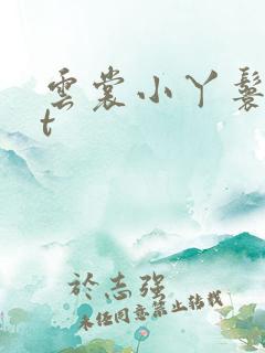 云裳小丫鬟txt