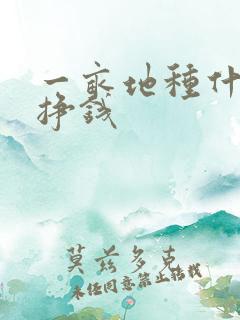 一亩地种什么最挣钱