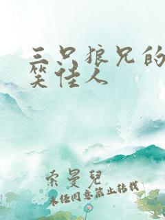 三只狼兄的宠妻笑佳人