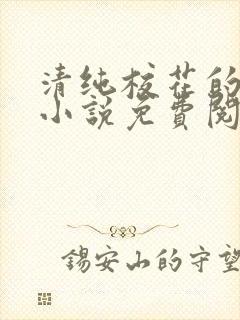 清纯校花的秘密小说免费阅读全文