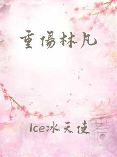 重伤林凡