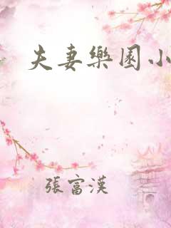 夫妻乐园小说
