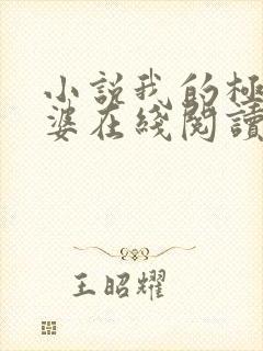 小说我的极品老婆在线阅读全文