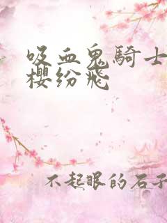 吸血鬼骑士之落樱纷飞