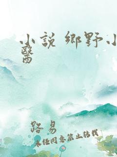 小说 乡野小村医