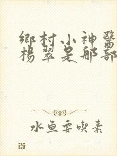 乡村小神医张冬杨翠是那部小说