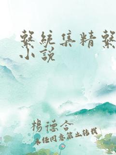 系统集精系统 小说