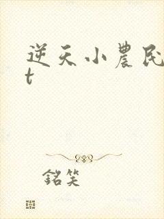逆天小农民txt