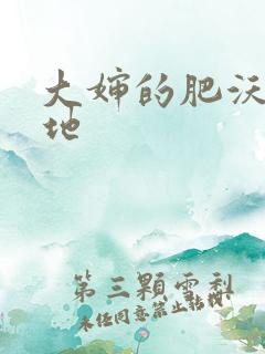 大婶的肥沃的土地