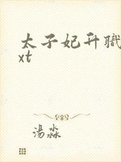 太子妃升职记txt