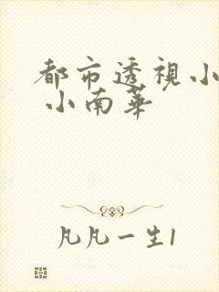 都市透视小神医 小南华