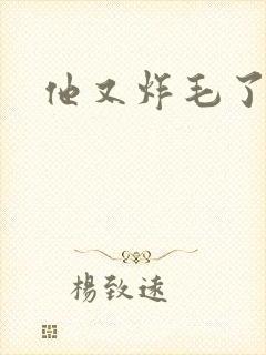 他又炸毛了