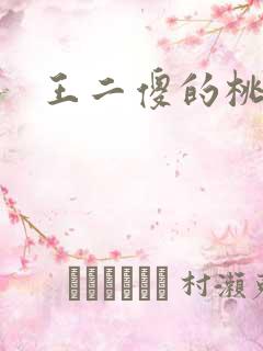 王二傻的桃花运