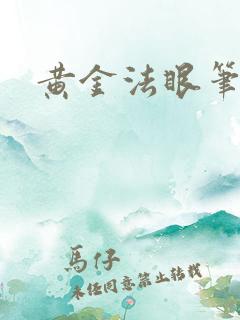 黄金法眼笔趣阁