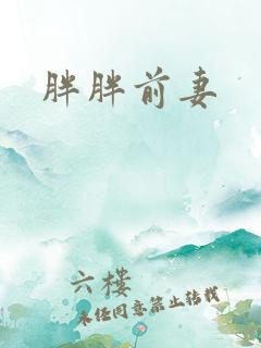 胖胖前妻
