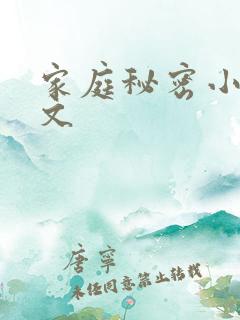 家庭秘密小说全文