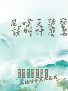 风啸天楚馨月小说叫什么名字