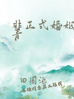 非正式婚姻雾里青