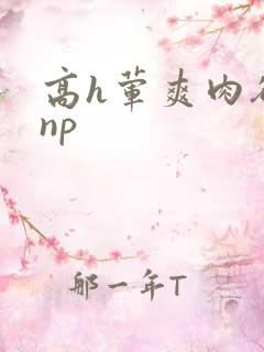 高h荤爽肉欲文np