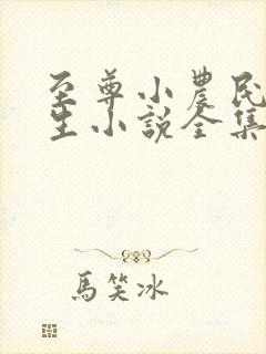 至尊小农民王木生小说全集下载