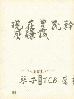 现在农民干点什么赚钱