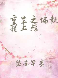 重生之偏执老公宠上瘾