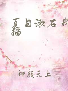 夏目漱石 我是猫