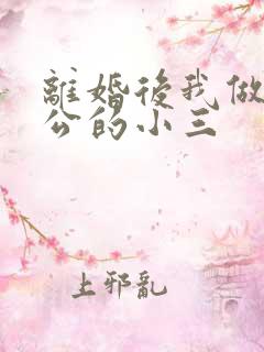 离婚后我做了老公的小三